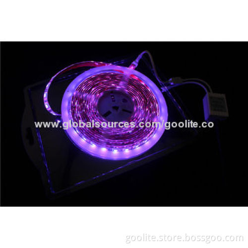 Waterproof IP68 12V DC 3528 SMD LED Colorful Flexible Strip Light , LEDs 60 Pieces/m